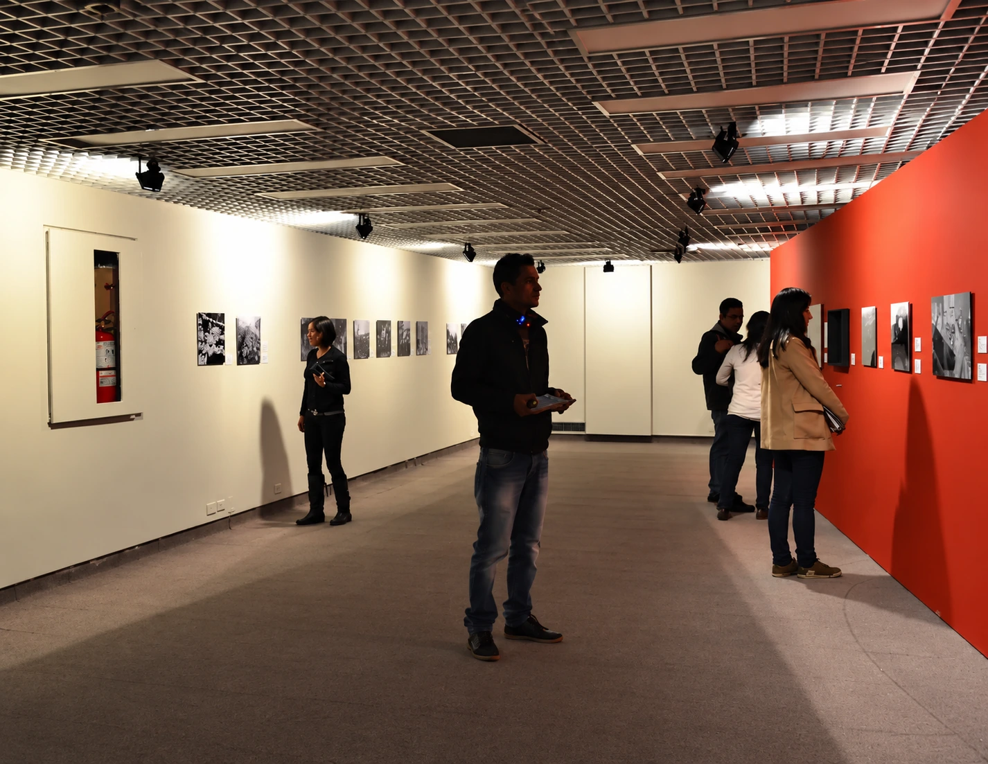 red title wall — Sady González: memories of a reality