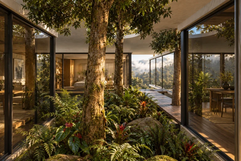 Cloud-forest house