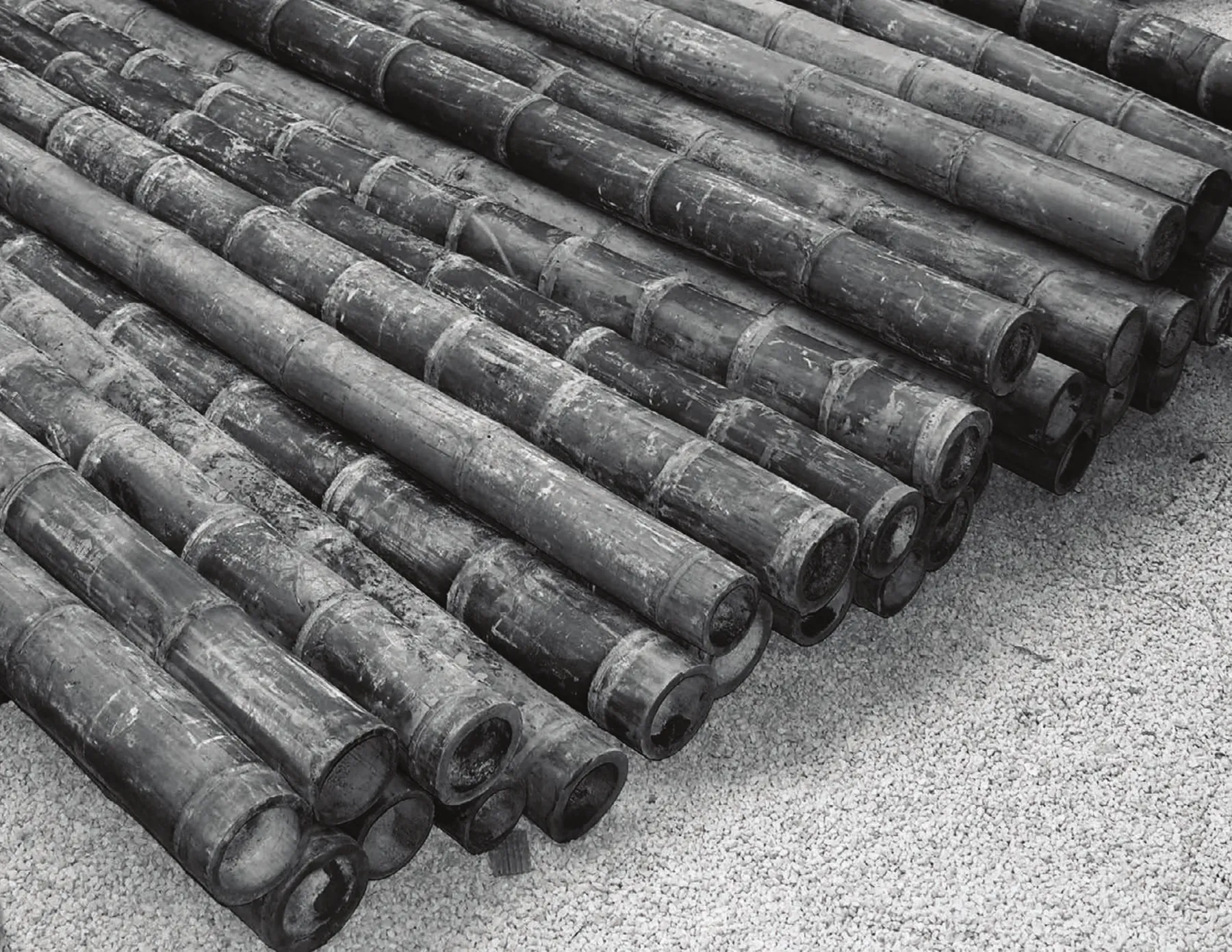 The bamboo