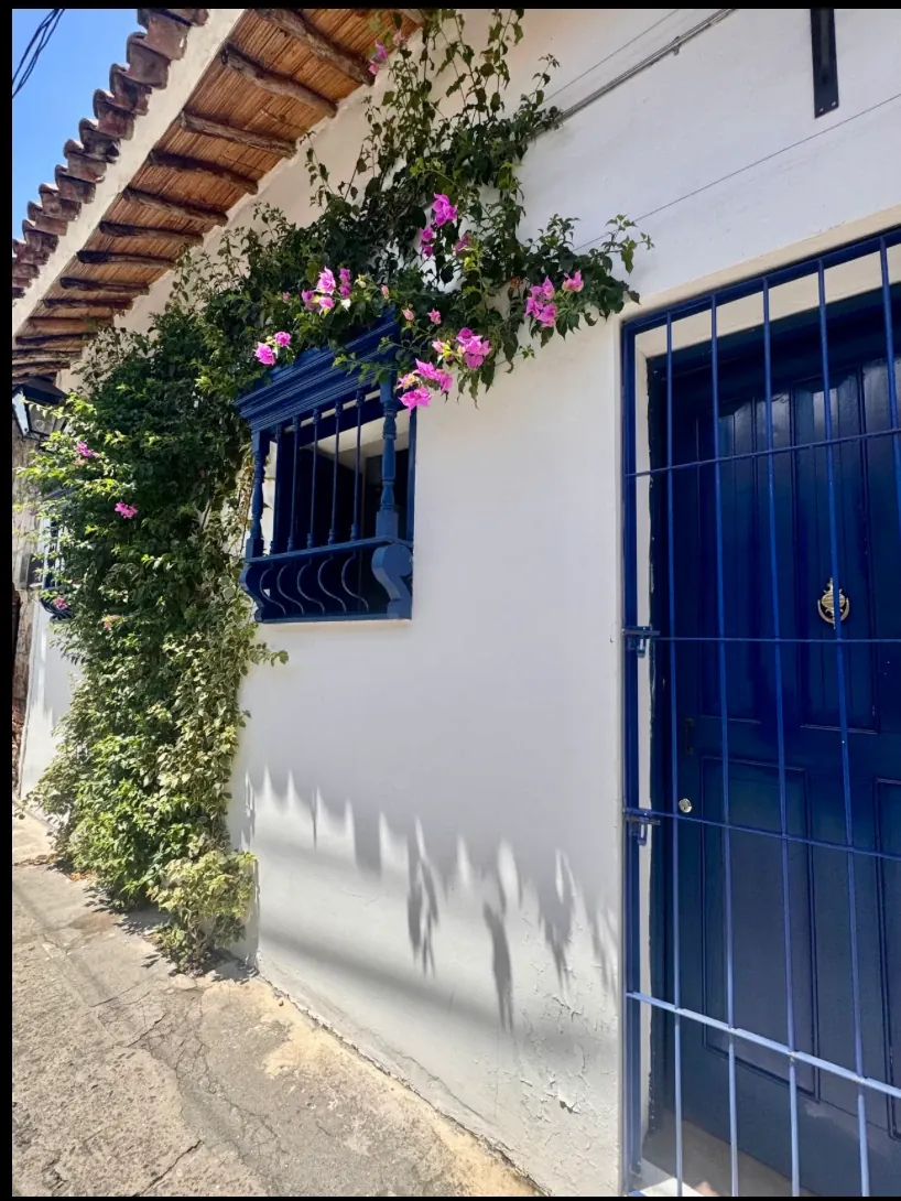 The house and the street