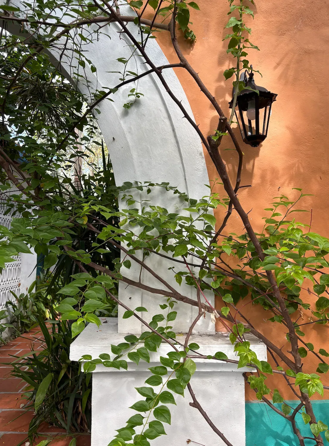 Arch, lantern and planting