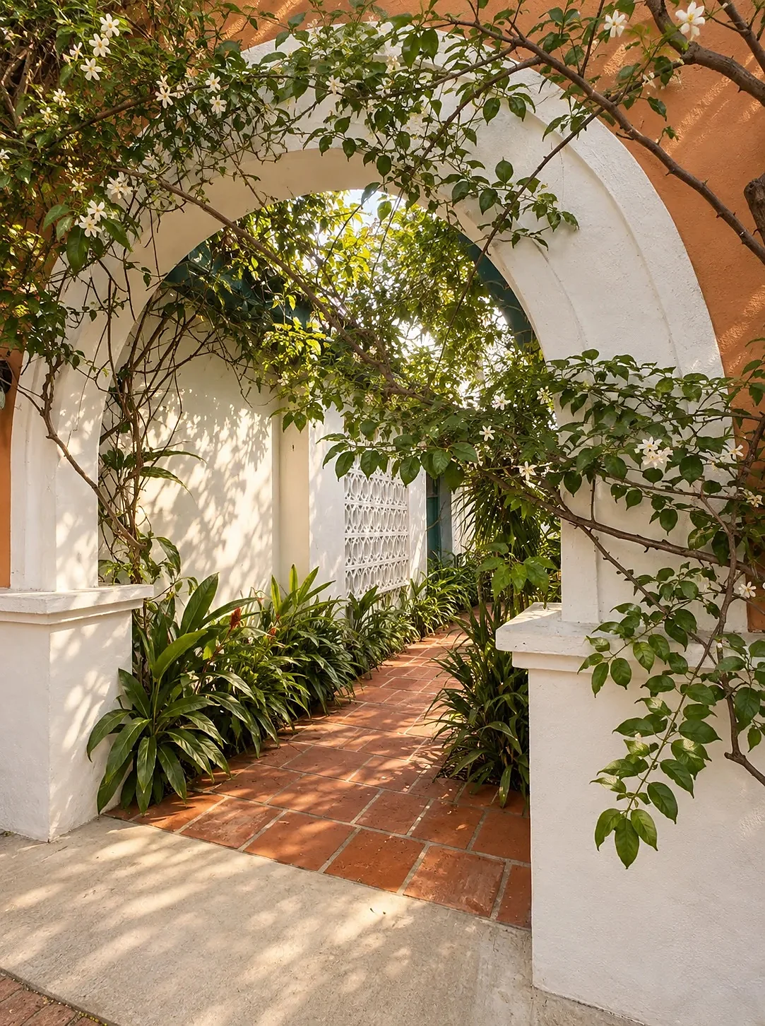 The arch with jasmine