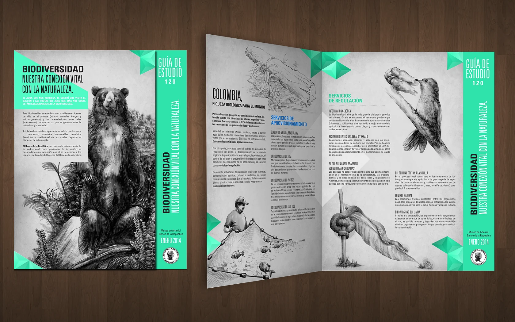 Mockup editorial de folleto plegado; no es una vista de montaje de sala. — Nuestra conexión con la naturaleza