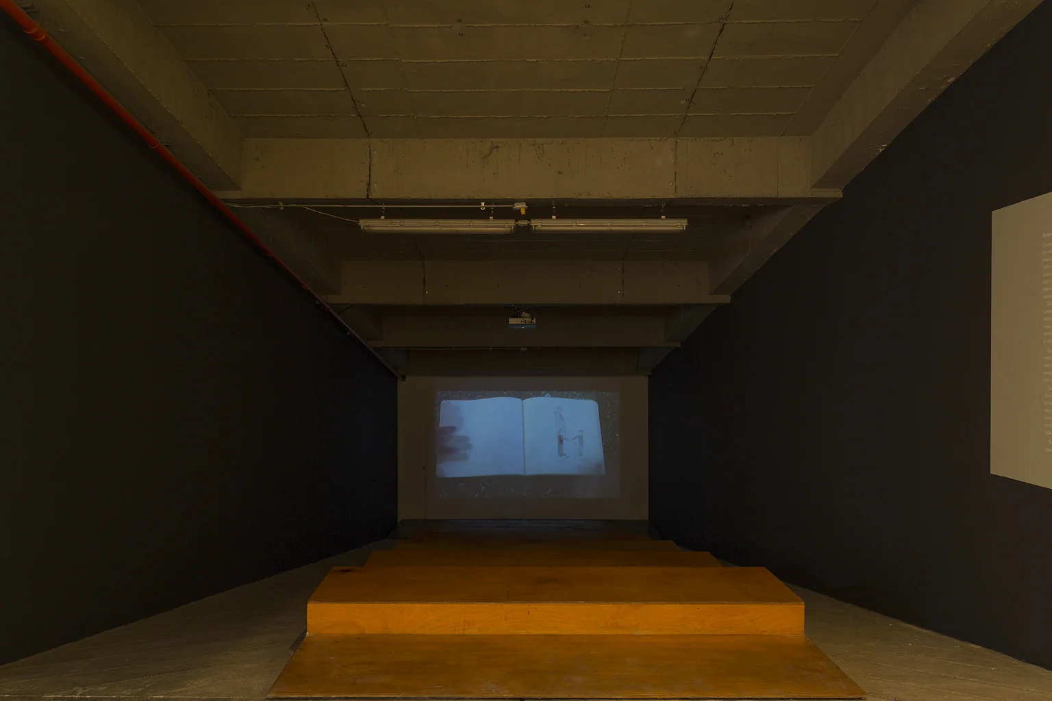 dark projection room — Facing the other