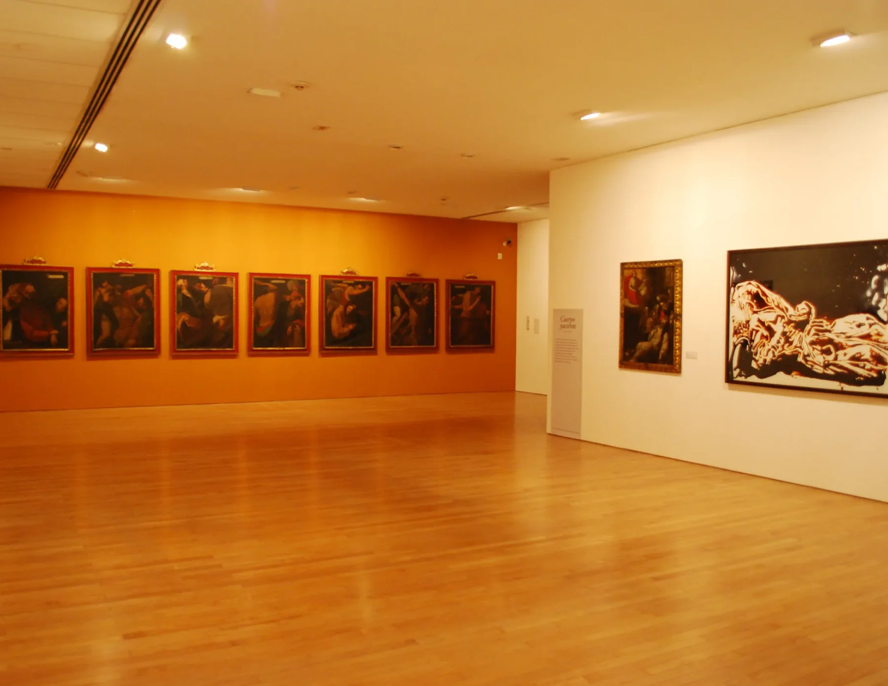 muro de color con serie de pintura — Habeas Corpus: que tengas un cuerpo para exponer